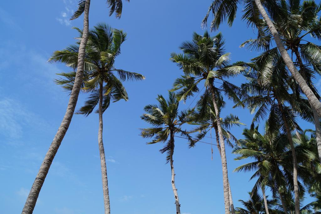 Sri Beach Bungalows And Villa Marawila Exterior foto
